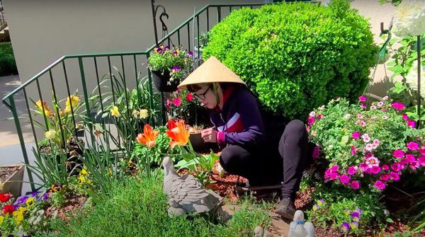 Nghệ sĩ Phương Hồng Thủy tuổi xế chiều bên Mỹ, làm vườn, trồng hoa rời xa hào quang - 4