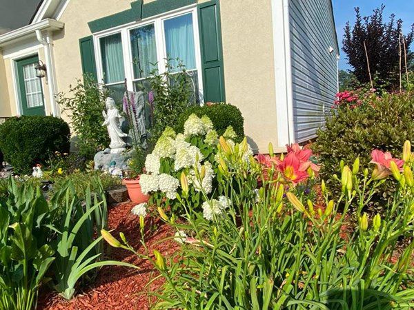 Nghệ sĩ Phương Hồng Thủy tuổi xế chiều bên Mỹ, làm vườn, trồng hoa rời xa hào quang - 7