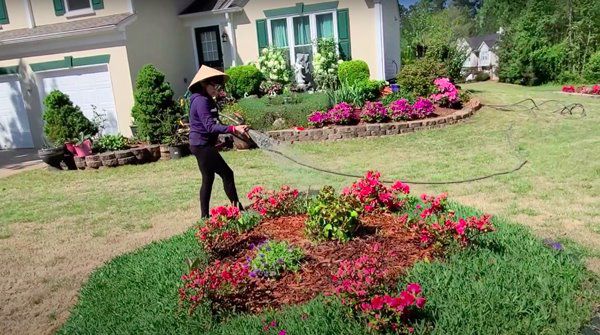 Nghệ sĩ Phương Hồng Thủy tuổi xế chiều bên Mỹ, làm vườn, trồng hoa rời xa hào quang - 5