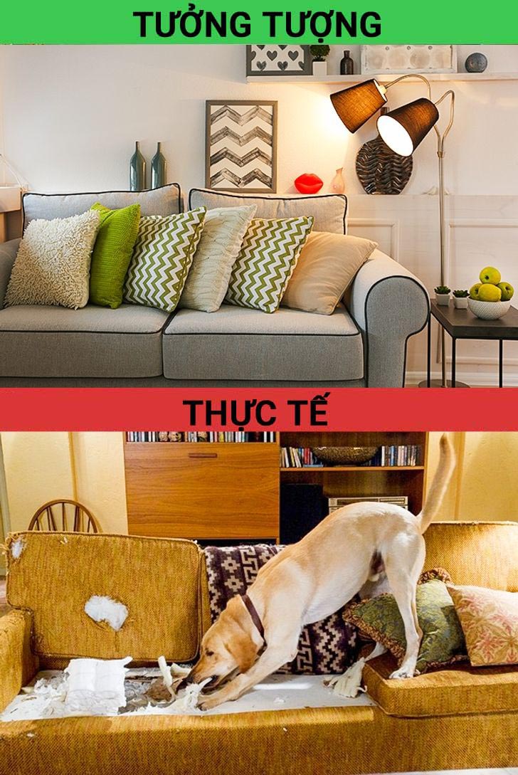 Bạn tưởng tượng gì khi nói đến ngôi nhà trong tương lai của mình? Có lẽ sự thật sẽ không đẹp đẽ và gọn gàng như bạn vẫn tưởng. 