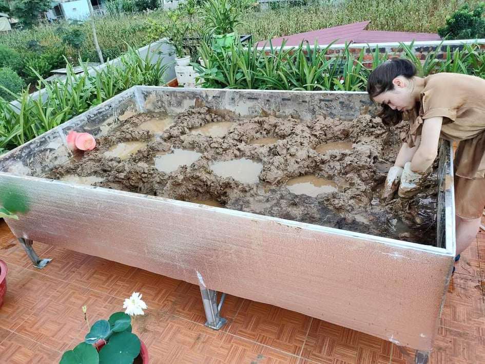 Cô giáo Sơn La đưa đất lên ban công làm đầm, trồng 30 loại sen đẹp trong bồn 6m2 - 11