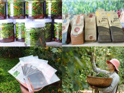 Lifestyle - 6 đặc sản Quảng Trị mua về làm quà ai cũng mê, có món cực kỳ tốt cho sức khỏe