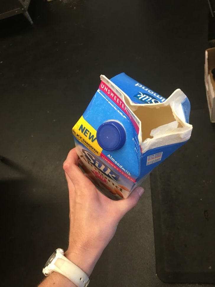 Chắc chắn phải có một lý do đặc biệt nào đó cho hành động khó hiểu này.