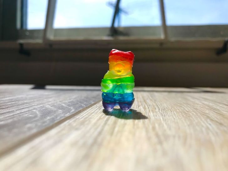 Đằng sau bức ảnh chú gấu cầu vồng này hẳn là rất nhiều nỗ lực.