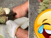 Tiêu dùng - Hào hứng khui sầu riêng, thanh niên chết lặng khi thấy 1 khe được hẳn 3 múi sầu "ngang trái"