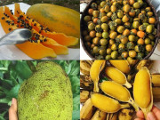 Xem ăn chơi - 7 loại quả đặc sản nổi tiếng nhất các vùng miền, bạn đã nếm thử được bao nhiêu loại?