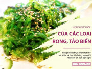 Clip Eva - 5 tác dụng của rong, tảo biển với sức khỏe không thể xem thường