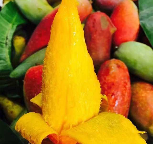 Nhưng khi gọt phần vỏ đi, lớp thịt vàng thơm ngon của quả được lộ ra