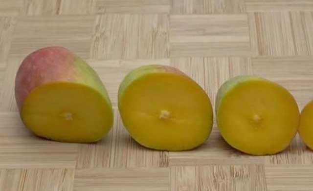 So với hạt, phần thịt quả rất dày nên được người Trung Quốc rất thích