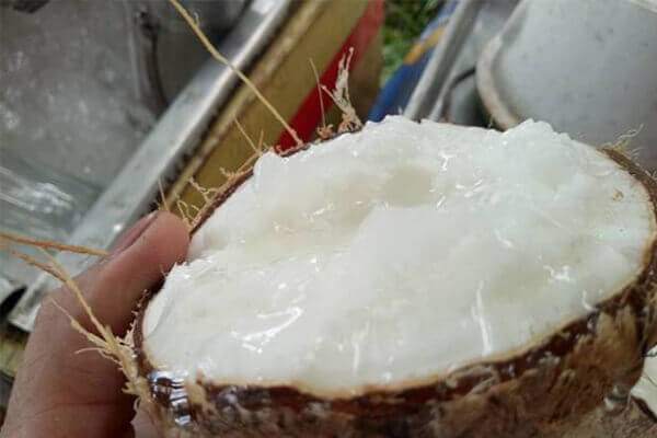 Đặc sản Trà Vinh chỉ cần bổ ra sẽ thích mê, giá lên tới 500.000/quả vẫn nườm nượp người mua