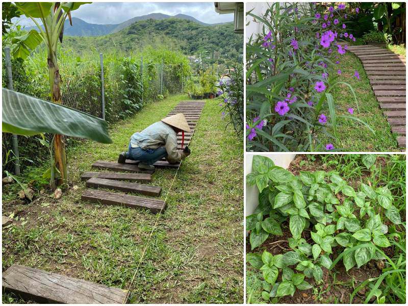 Mê vườn 3 mảnh đất trong nước chưa thoả, mẹ Việt làm vườn 5 tầng ở Nam Thái Bình Dương - 11