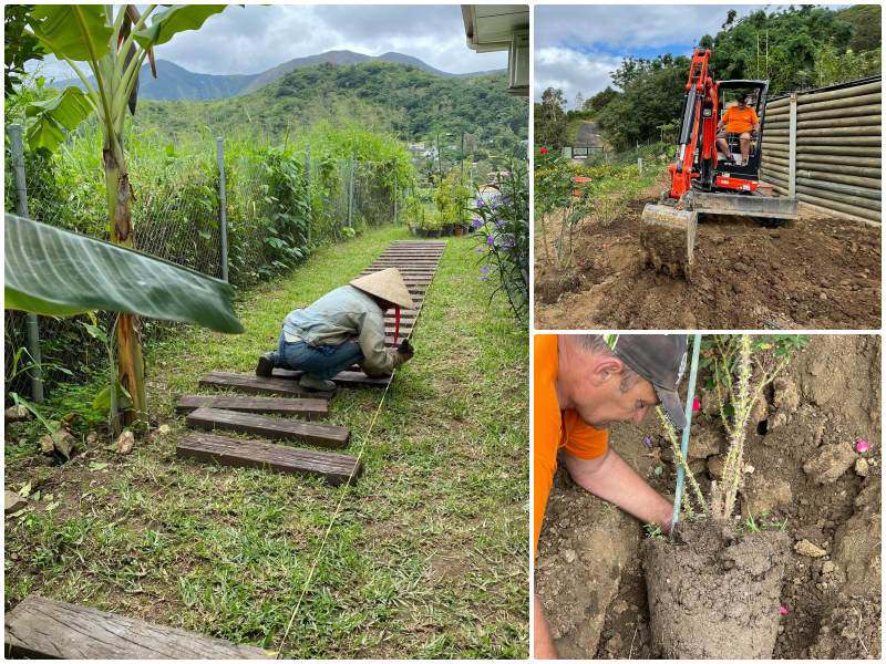 Mê vườn 3 mảnh đất trong nước chưa thoả, mẹ Việt làm vườn 5 tầng ở Nam Thái Bình Dương - 13