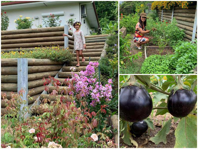 Mê vườn 3 mảnh đất trong nước chưa thoả, mẹ Việt làm vườn 5 tầng ở Nam Thái Bình Dương - 1