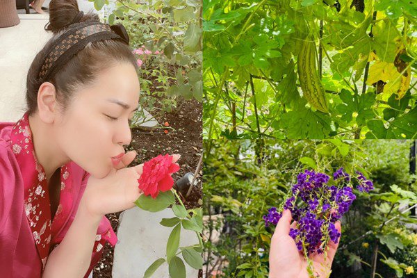 Nhật Kim Anh đón mẹ lên ở cùng, hằng ngày chăm sóc vườn rau xanh vào mùa dịch - 13