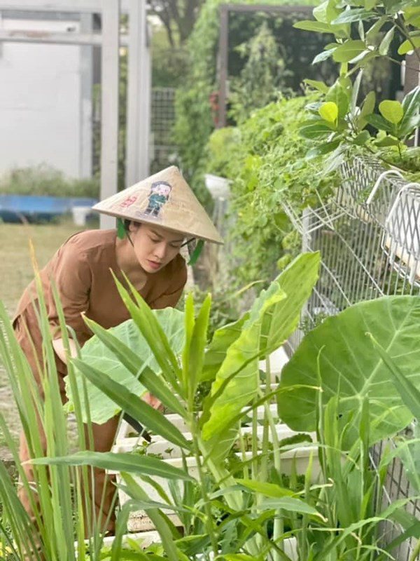 Nhật Kim Anh đón mẹ lên ở cùng, hằng ngày chăm sóc vườn rau xanh vào mùa dịch - 7