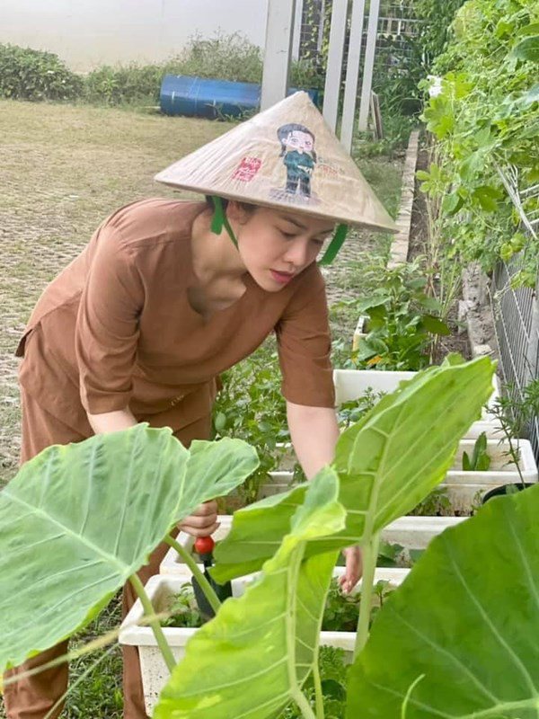 Nhật Kim Anh đón mẹ lên ở cùng, hằng ngày chăm sóc vườn rau xanh vào mùa dịch - 8