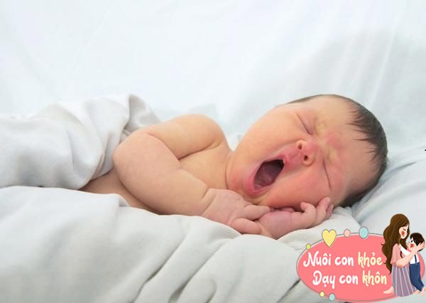 Nếu trẻ đã bước vào giấc ngủ sâu mà vẫn nhạy cảm hơn với những thay đổi của thế giới bên ngoài thì chứng tỏ trẻ rất thông minh.