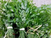 Tiêu dùng - Hà Nội: Rau ngót 200.000 đồng/kg khiến ai cũng sửng sốt