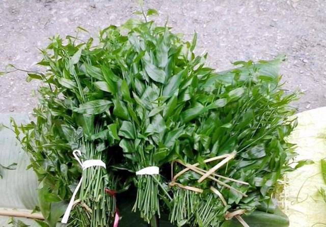 Ngót rừng là một loại rau đặc trưng chỉ có ở nơi núi đá, vị ngọt và lạ miệng nên được rất nhiều người ưa chuộng. Mùa rau ngót rừng năm nay có giá chát hơn so với mọi năm nhưng các tiểu thương cho biết khi đưa về Hà Nội vẫn cháy hàng.