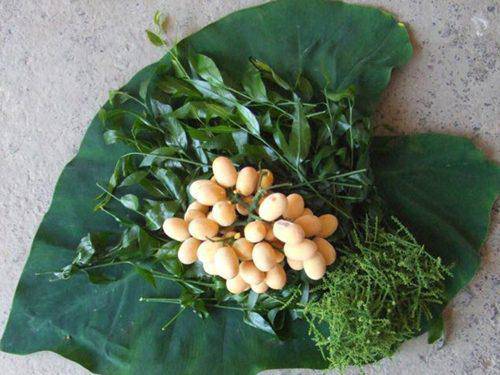 Tuy nhiên, nhiều người vẫn lùng mua bởi rau ngót rừng được cho là rau sạch, lại có nhiều chất bổ dưỡng, tốt cho sức khỏe a classTextlinkBaiviet hrefhttps://eva.vn/phụ nữ/a sau sinh, cách chế biến cũng rất dễ dàng. Bình thường mâm cơm thì chỉ hết 1 đồng tiền rau 3 đồng tiền thịt. Đến mùa rau ngót rừng thì ngược lại, 3 đồng tiền rau 1 đồng tiền thịt. Nhưng đổi lại mâm cơm có bát canh rau ngót rừng sạch thơm lừng, ngọt lừ ăn rất vừa miệng nên giá có đắt tôi vẫn cố mua ăn, chị Quỳnh Mai (Mỹ Đình, Hà Nội chia sẻ.