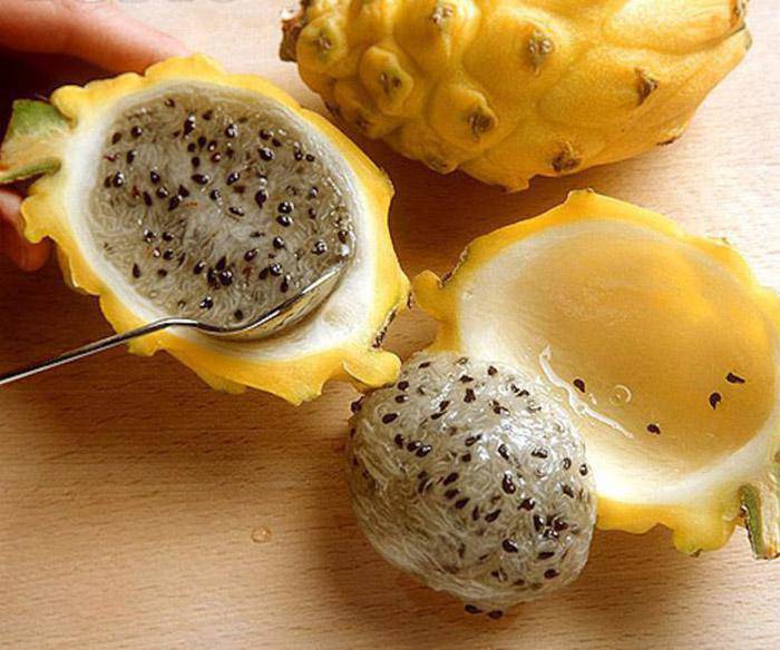 Loại quả này ở TQ được ví như amp;#34;quả tổ yếnamp;#34;, màu sắc độc đáo khiến nó luôn cháy hàng - 5