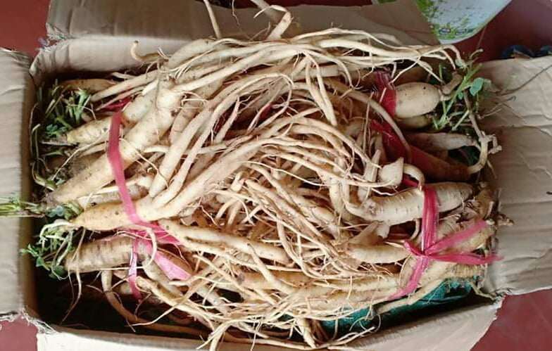 4 món đặc sản ở Kon Tum ngon không đâu có, mua về làm quà cực ý nghĩa - 4