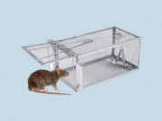 Nhà đẹp - Cách làm bẫy chuột thông minh bằng chai nhựa, thùng sơn đơn giản