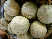 Tiêu dùng - Loại quả ở Việt Nam trước mọc dại, nhiều người không biết tên, nay "hét giá" 40.000 đồng/kg