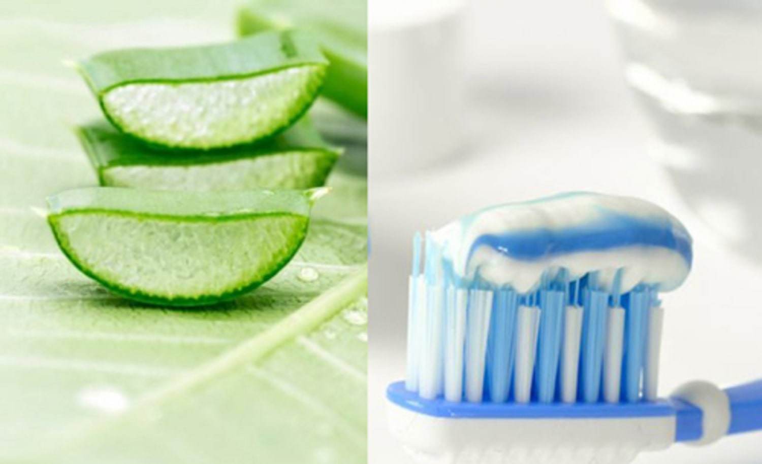Trị mụn bằng kem đánh răng: bí quyết làm đẹp đơn giản, tiết kiệm và dễ dàng thực hiện - 7