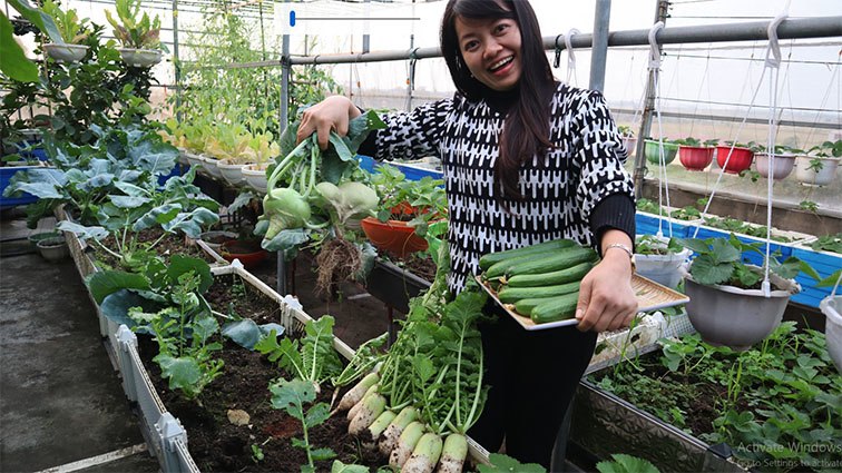 Con gái thích dâu tây mua không có, mẹ Việt đầu tư 250k trồng 200 cây sân thượng trĩu quả - 14