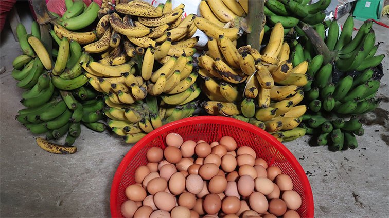 Con gái thích dâu tây mua không có, mẹ Việt đầu tư 250k trồng 200 cây sân thượng trĩu quả - 13