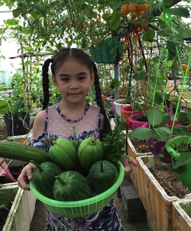 Con gái thích dâu tây mua không có, mẹ Việt đầu tư 250k trồng 200 cây sân thượng trĩu quả - 15