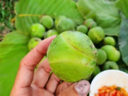Xem ăn chơi - Loại quả xưa chín đầy không ai hái, giờ thành đặc sản được dân thành phố ráo riết tìm mua