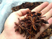 Xem ăn chơi - Trước thứ này ít ai để ý, giờ thành đặc sản "quý hiếm" mà nhà hàng nào cũng cần tới