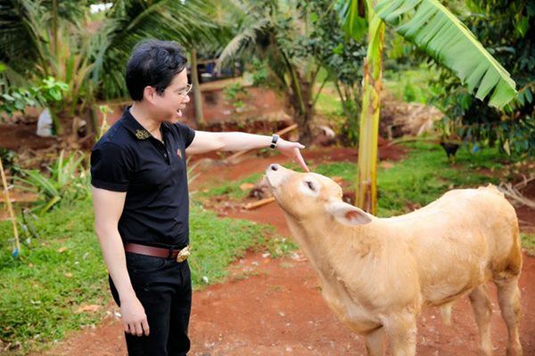 Sao Việt sở hữu những khu vườn tiền tỷ: Ngọc Sơn được tặng, Bằng Kiều có thú chơi đắt đỏ - 13