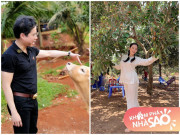 Nhà đẹp - Sao Việt sở hữu những khu vườn tiền tỷ: Ngọc Sơn được tặng, Bằng Kiều có thú chơi đắt đỏ