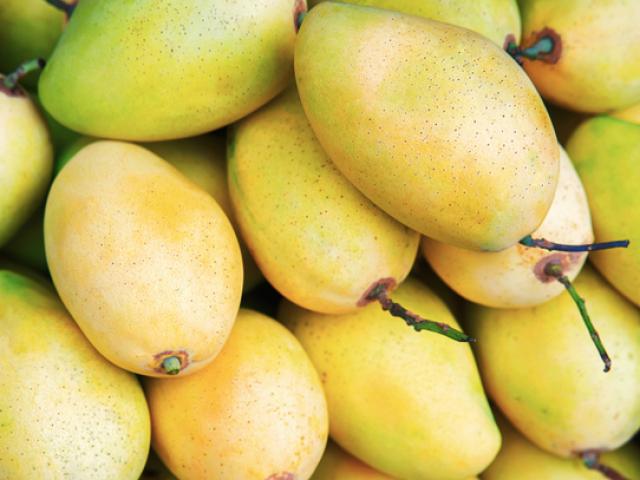 Tác dụng của xoài, ăn xoài có nóng không?