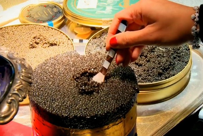 4 món ăn chỉ đại gia, nhà giàu mới dám hưởng thụ: Cafe 10 triệu/cốc, cá hồi được…nghe đàn - 4