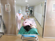 Thụ tinh trong ống nghiệm để có thai, mẹ hoảng loạn khi vô tình xét nghiệm máu của con