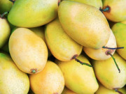 Sức khỏe - Tác dụng của xoài, ăn xoài có nóng không?