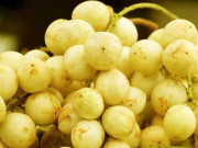 Xem ăn chơi - Loại quả xưa không nhiều, giờ thành đặc sản nổi tiếng Cần Thơ khiến bao du khách mê mệt