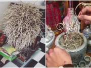 Nhà đẹp - Bàn thờ bỗng xuất hiện dấu hiệu này gia chủ cần lưu ý thay đổi