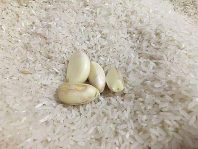 Mùa dịch gạo để lâu trong thùng sinh mối mọt, dạy bạn 1 mẹo để cả tháng vẫn trắng thơm