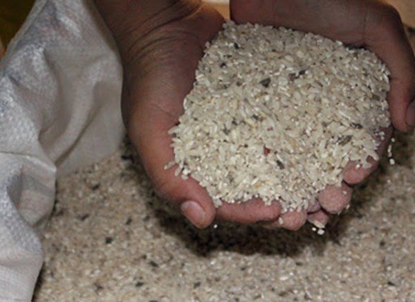 Mùa dịch gạo để lâu trong thùng sinh mối mọt, dạy bạn 1 mẹo để cả tháng vẫn trắng thơm - 4