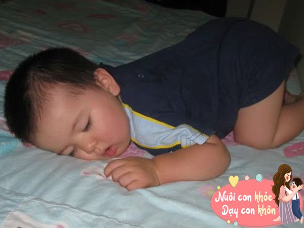 Nếu trẻ đột nhiên nằm sấp, cha mẹ nên quan sát giấc ngủ của bé, có thể trẻ thấy khó chịu về đường tiêu hóa do đặc điểm phát triển của bản thân, nằm sấp là tư thế mà trẻ chọn để giảm bớt tình trạng khó chịu ở bụng. 