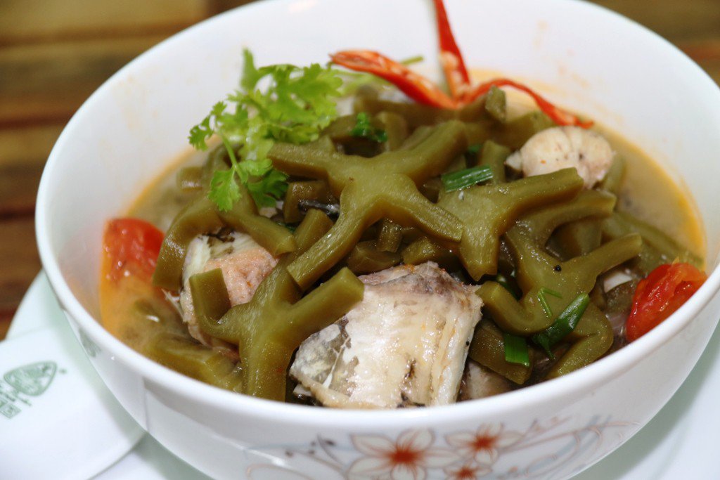 Loại cây mọc hoang, trồng làm hàng rào bất ngờ thành đặc sản ngon, lại chữa được bệnh - 3