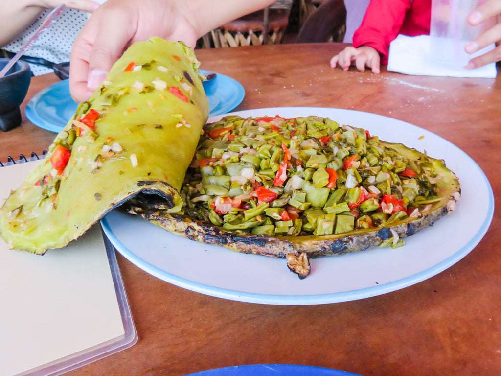 Loại cây mọc hoang, trồng làm hàng rào bất ngờ thành đặc sản ngon, lại chữa được bệnh - 4