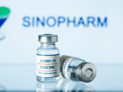 Sức khỏe - Khuyến nghị của WHO về vắc-xin COVID-19 của Sinopharm
