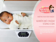 Làm mẹ - Mẹ chăm con rất kỹ mà bé vẫn không tăng cân, có thể là vì 8 nguyên nhân sau
