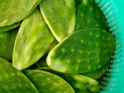 Xem ăn chơi - Loại cây mọc hoang, trồng làm hàng rào bất ngờ thành đặc sản ngon, lại chữa được bệnh
